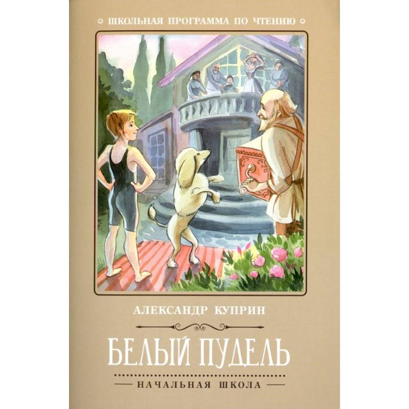 Белый пудель Белый пудель