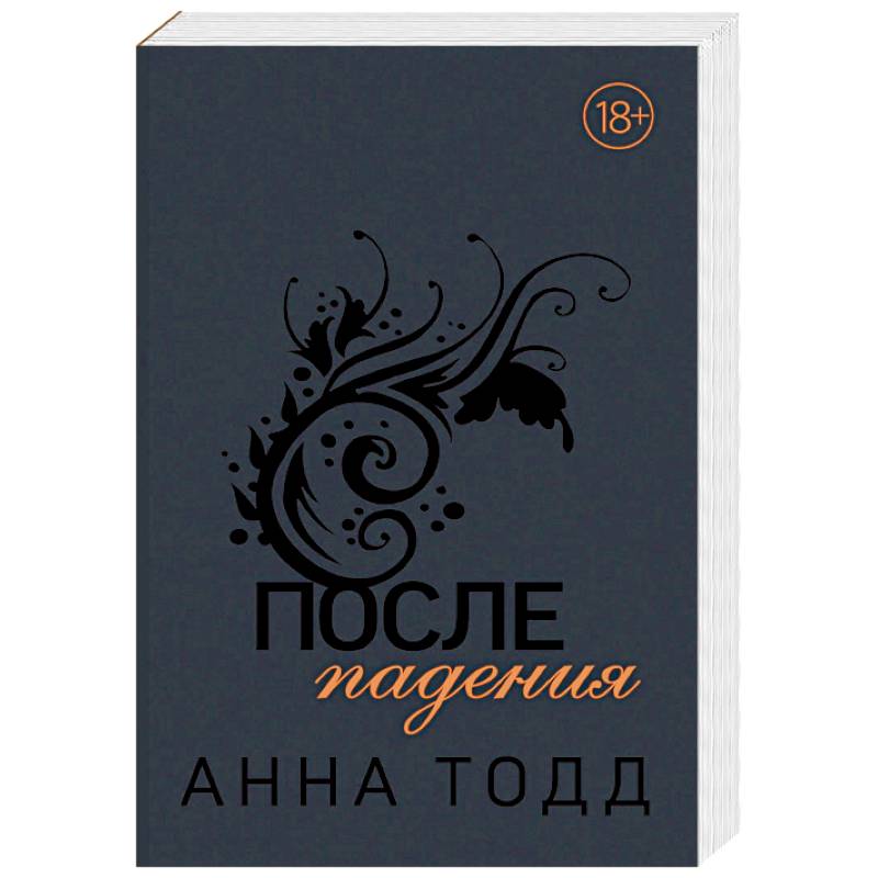 После падения После падения