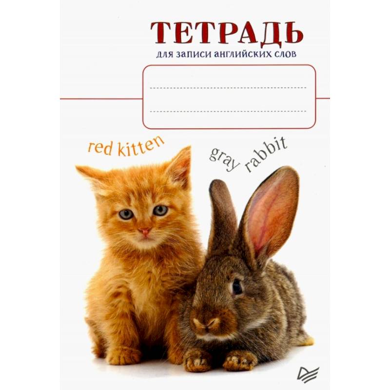 Тетрадь для записи английских слов. Котенок и кролик Тетрадь для записи английских слов. Котенок и кролик