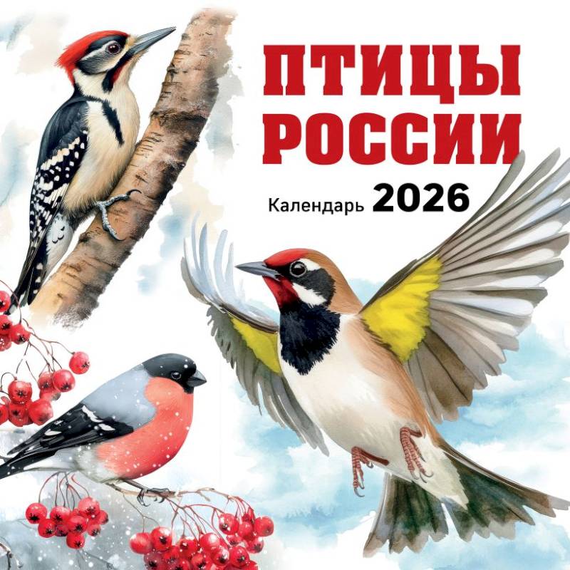 Птицы России. Календарь настенный на 2026 год Птицы России. Календарь настенный на 2026 год