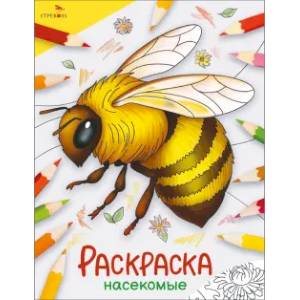Насекомые: раскраска Насекомые: раскраска