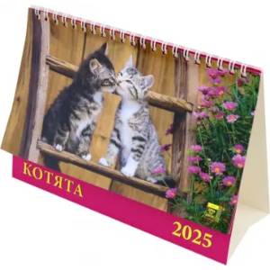 Календарь настольный на 2025 год Котята Календарь настольный на 2025 год Котята