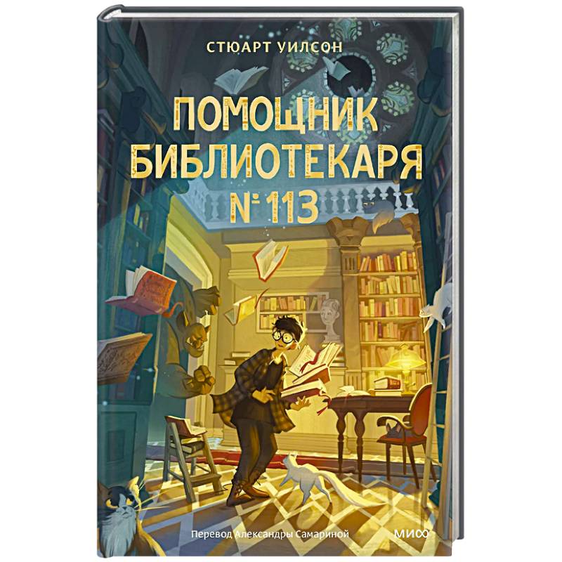 Помощник библиотекаря № 113 Помощник библиотекаря № 113