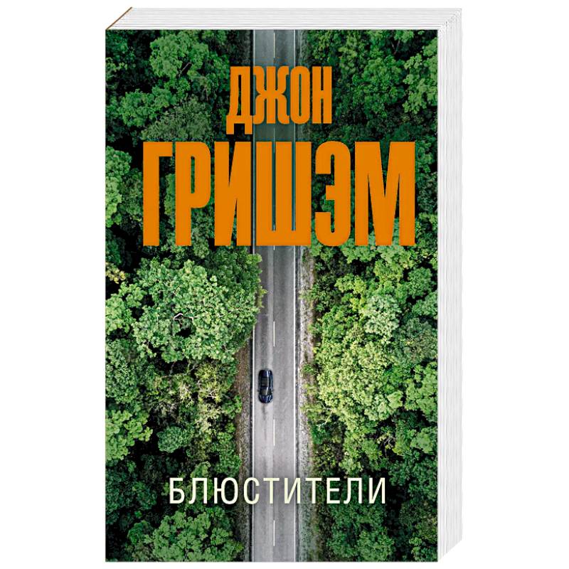 Блюстители Блюстители