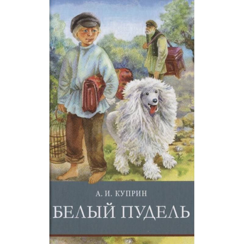 Рисунки белый пудель куприн