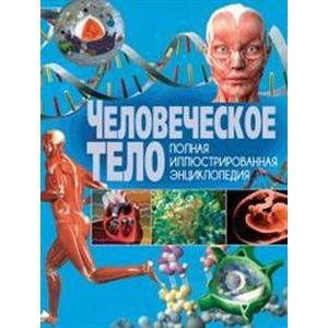 Человеческое тело