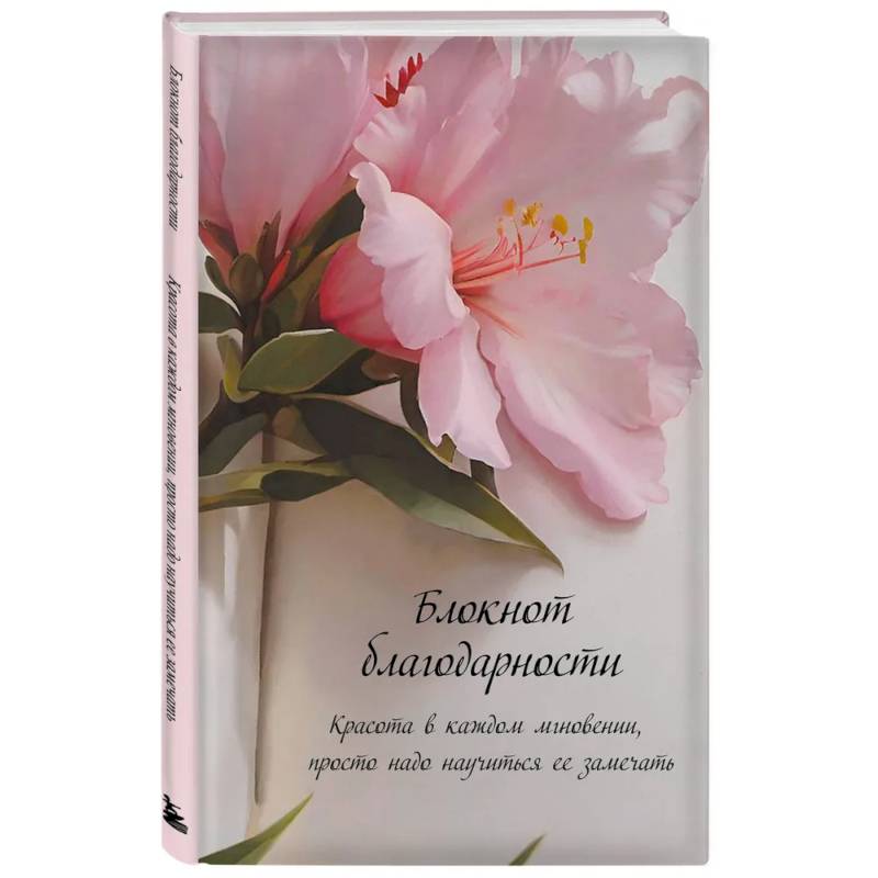 Блокнот благодарности. Красота в каждом мгновении, просто надо научиться ее замечать Блокнот благодарности. Красота в каждом мгновении, просто надо научиться ее замечать