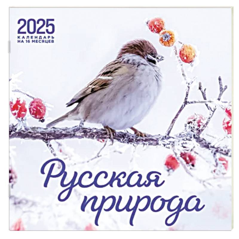 Русская природа. Календарь настенный на 16 месяцев на 2025 год Русская природа. Календарь настенный на 16 месяцев на 2025 год