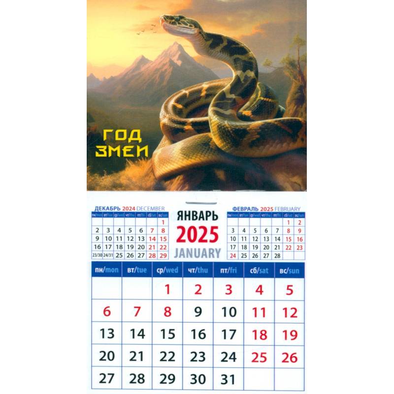 Календарь на магните на 2025 год Год змеи Календарь на магните на 2025 год Год змеи
