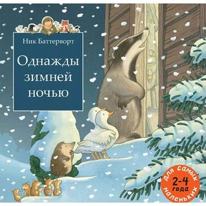 Однажды зимней ночью