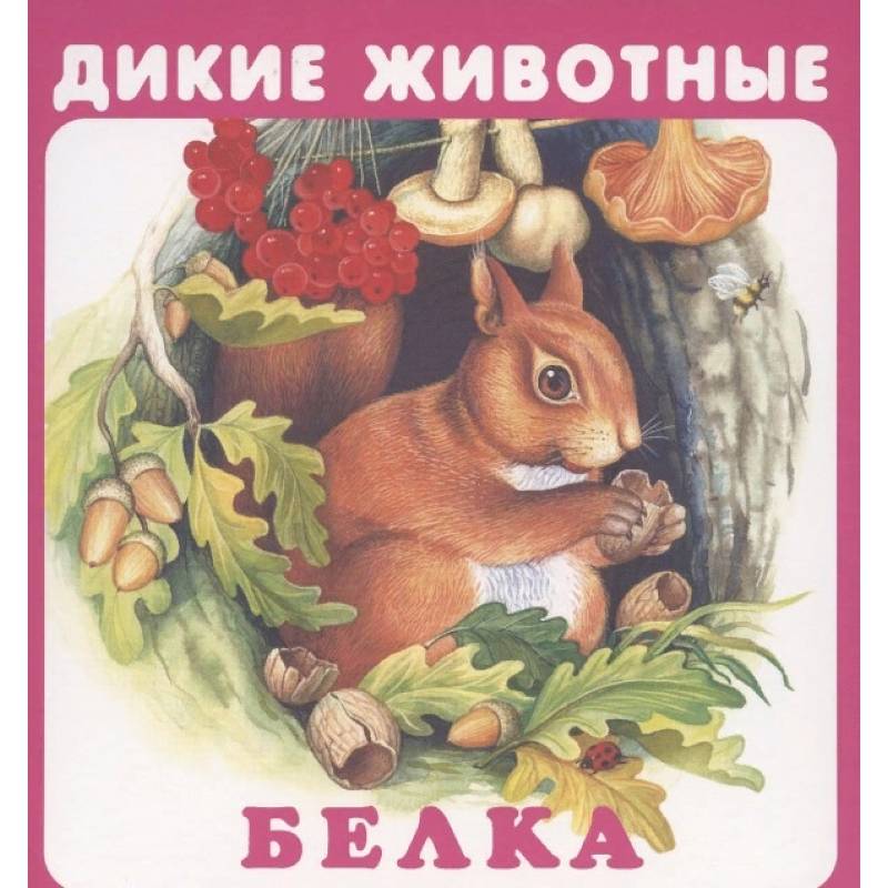 Дикие животные Дикие животные