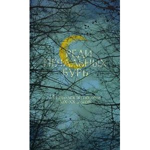 Среди печальных бурь... Из польской поэзии ХIX-XX веков