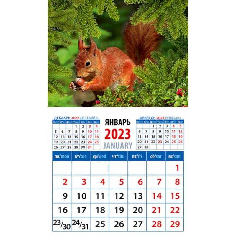 Календарь Белка с орехом, на 2023 год