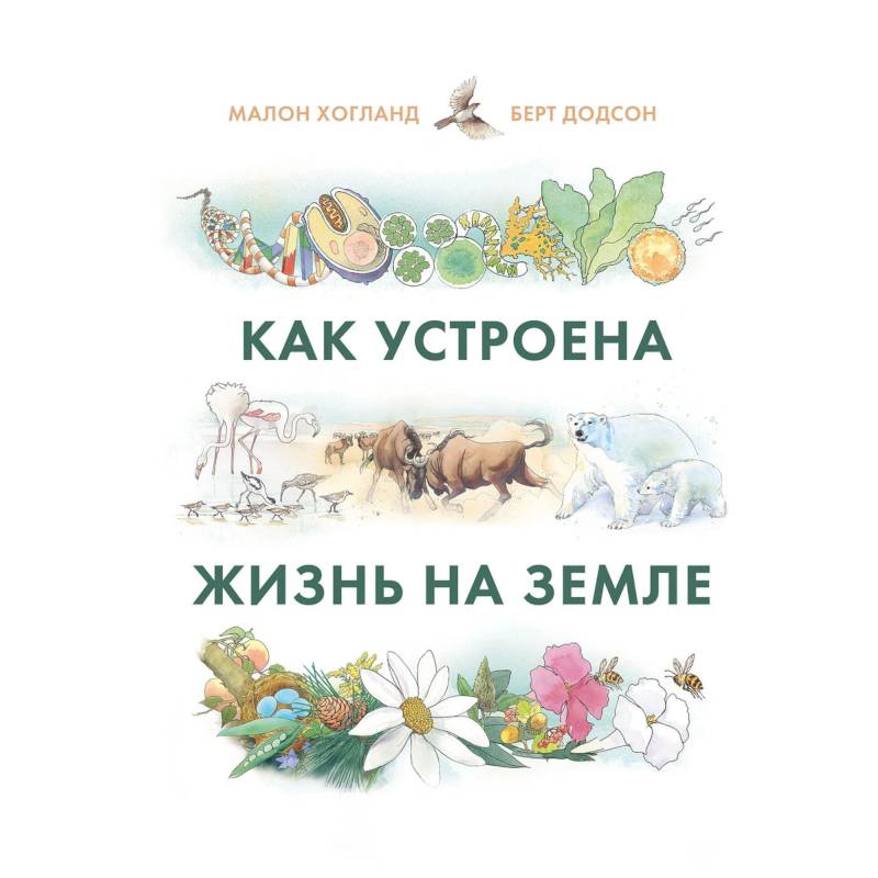 Как устроена жизнь на Земле Как устроена жизнь на Земле