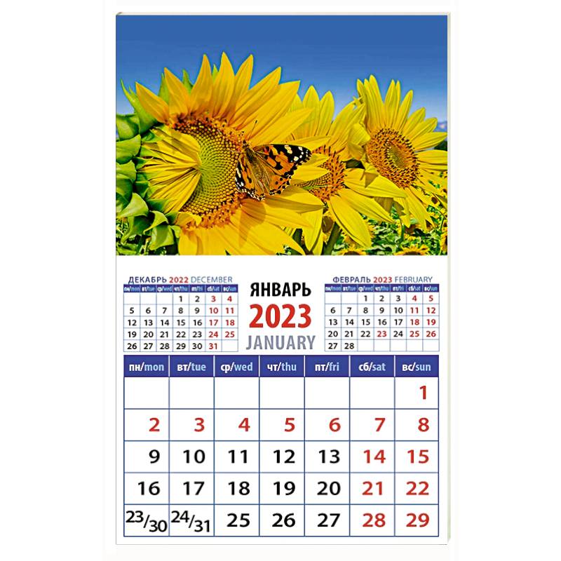 Календарь Бабочка на подсолнухе на 2023 год Календарь Бабочка на подсолнухе на 2023 год