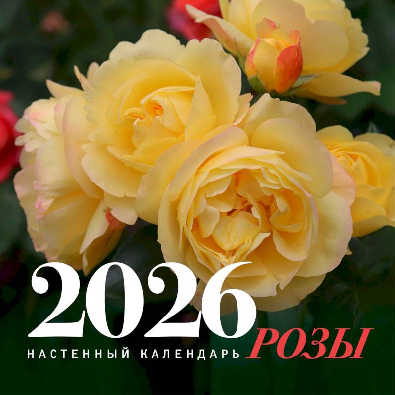 Розы. Настенный календарь на 2026 год Розы. Настенный календарь на 2026 год