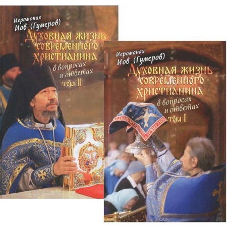 Православие в целом, книга Духовная жизнь современного христианина в вопросах и ответах. В 2-х томах заказать