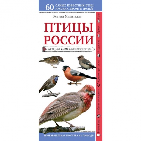 Зоология, книга Птицы России. Наглядный карманный определитель заказать
