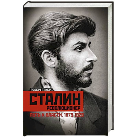 Мемуары, биографии, книга Сталин­революционер. Путь к власти. 1879—1929 заказать
