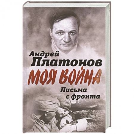 Великая Отечественная война 1941-1945 гг., книга Письма с фронта. 'Я видел страшный лик войны' заказать