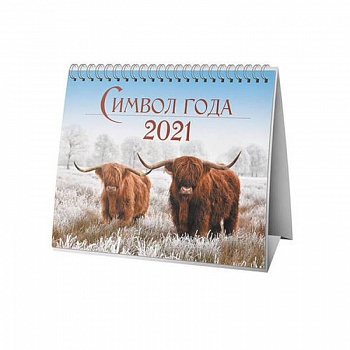 Календарь-домик на 2021 год.  Символ года 2 Календарь-домик на 2021 год.  Символ года 2