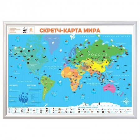 Книги, книга Скретч-карта мира 'WWF' заказать