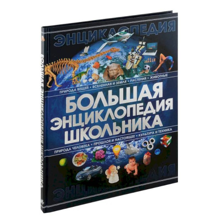 Дополнительные учебные пособия, книга Большая энциклопедия школьника заказать