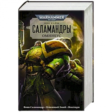 Зарубежное фэнтези, книга Саламандры.Омнибус заказать