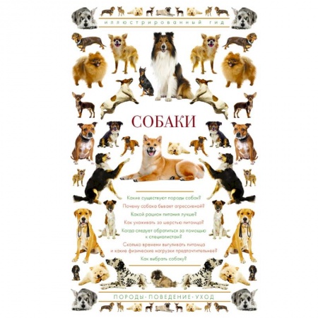 Уход, содержание, лечение, книга Собаки. Иллюстрированный гид заказать