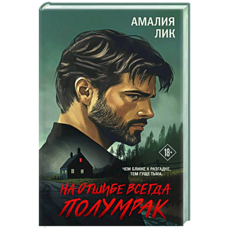 Триллеры, книга На отшибе всегда полумрак заказать