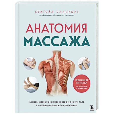 Массаж: лечебный, восточный, книга Анатомия массажа. Основы массажа нижней и верхней части тела с анатомическими иллюстрациями заказать