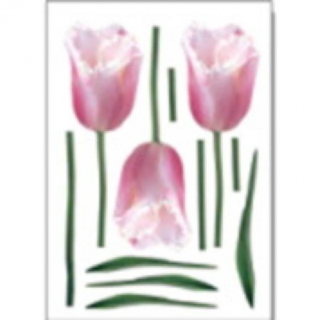 Книги, книга Наклейки для интерьера 'Тюльпаны' (HD-1004) заказать
