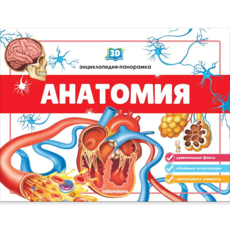 Книжки-раскладушки, панорамки, книга Анатомия. 3D-энциклопедия-панорамка заказать
