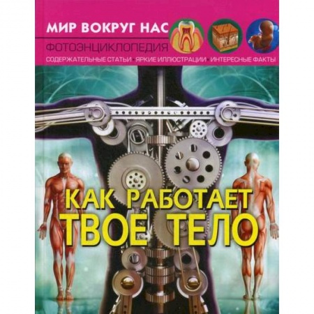 Познавательная литература, книга Мир вокруг нас. Как работает твое тело заказать