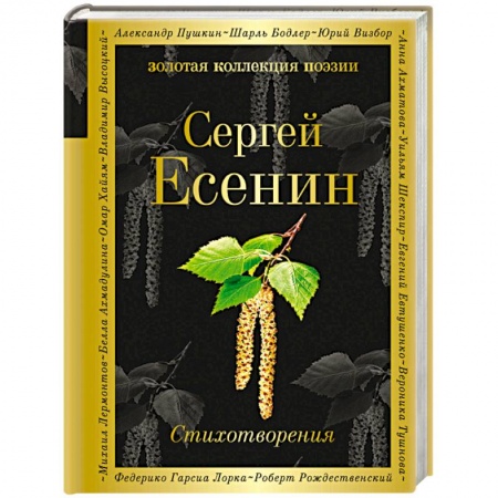 Русская поэзия, книга Стихотворения заказать