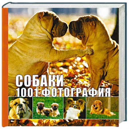 Книги, книга Собаки. 1001 фотография заказать