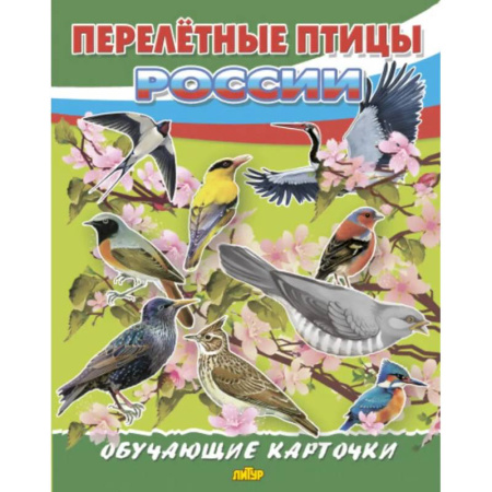 Окружающий мир, книга Перелетные птицы России заказать