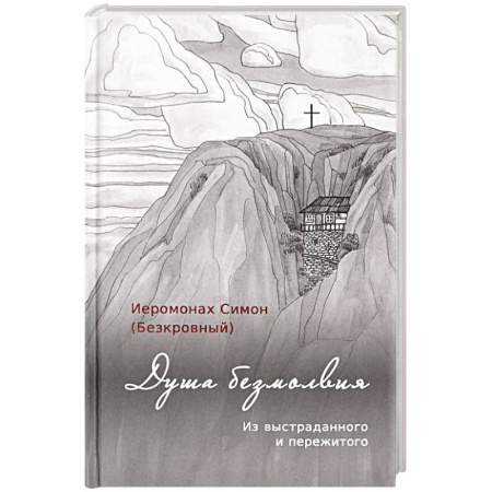 Духовная литература, книга Душа безмолвия. Из выстраданного и пережитого заказать