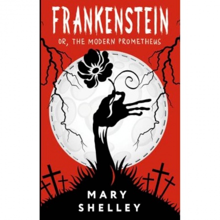 Чтение на английском языке, книга Frankenstein. or, The Modern Prometheus заказать