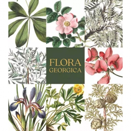 Культура. Культурология, книга Flora Georgica.Гербарий на фарфоре заказать