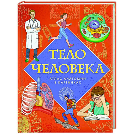 Человек. Земля. Вселенная, книга Тело человека. Атлас анатомии в картинках заказать