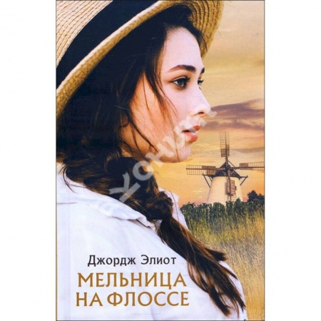 Зарубежная современная проза, книга Мельница на Флоссе заказать