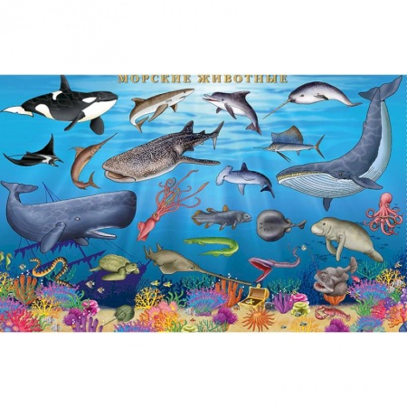 Демонстрационные материалы, книга Морские животные. Цифры и факты. Настольное издание заказать