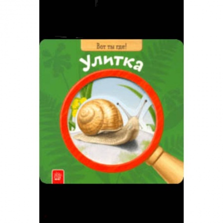 Знакомство с миром, развитие малыша, книга Вот ты где! Улитка заказать