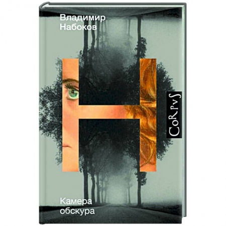 Классическая художественная проза, книга Камера обскура заказать