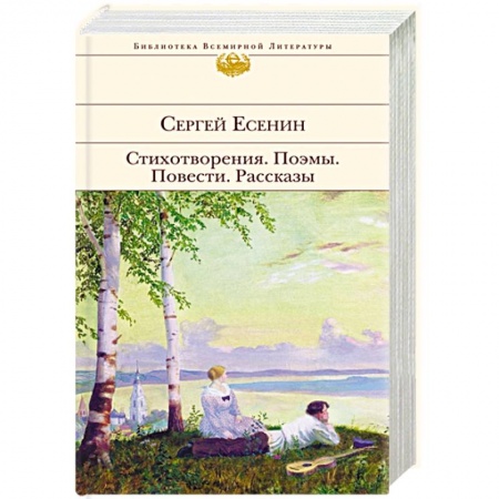 Русская поэзия, книга Стихотворения. Поэмы заказать