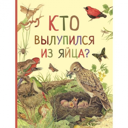 Животный и растительный мир, книга Кто вылупился из яйца? заказать