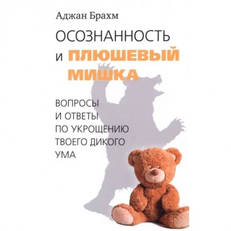 Религии мира, книга Осознанность и плюшевый мишка. Вопросы и ответы по укрощению твоего дикого ума заказать