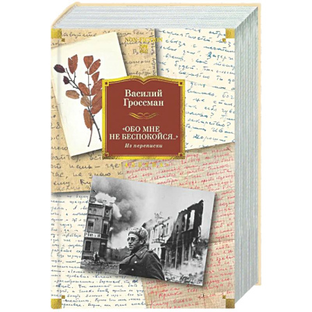 Дневники. Письма. Записки, книга Обо мне не беспокойся...Из переписки Василия Гроссмана заказать