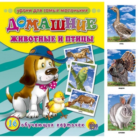 Книги, книга Обучающие карточки. Домашние животные и птицы заказать
